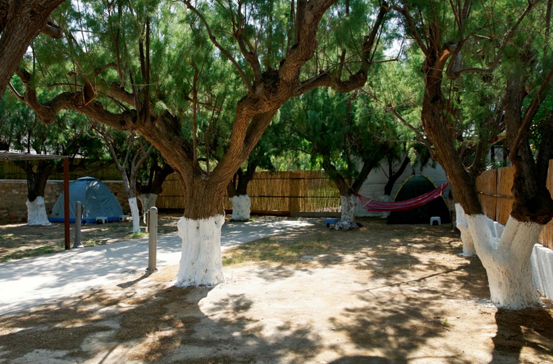 Organized camping at Kamares of Sifnos