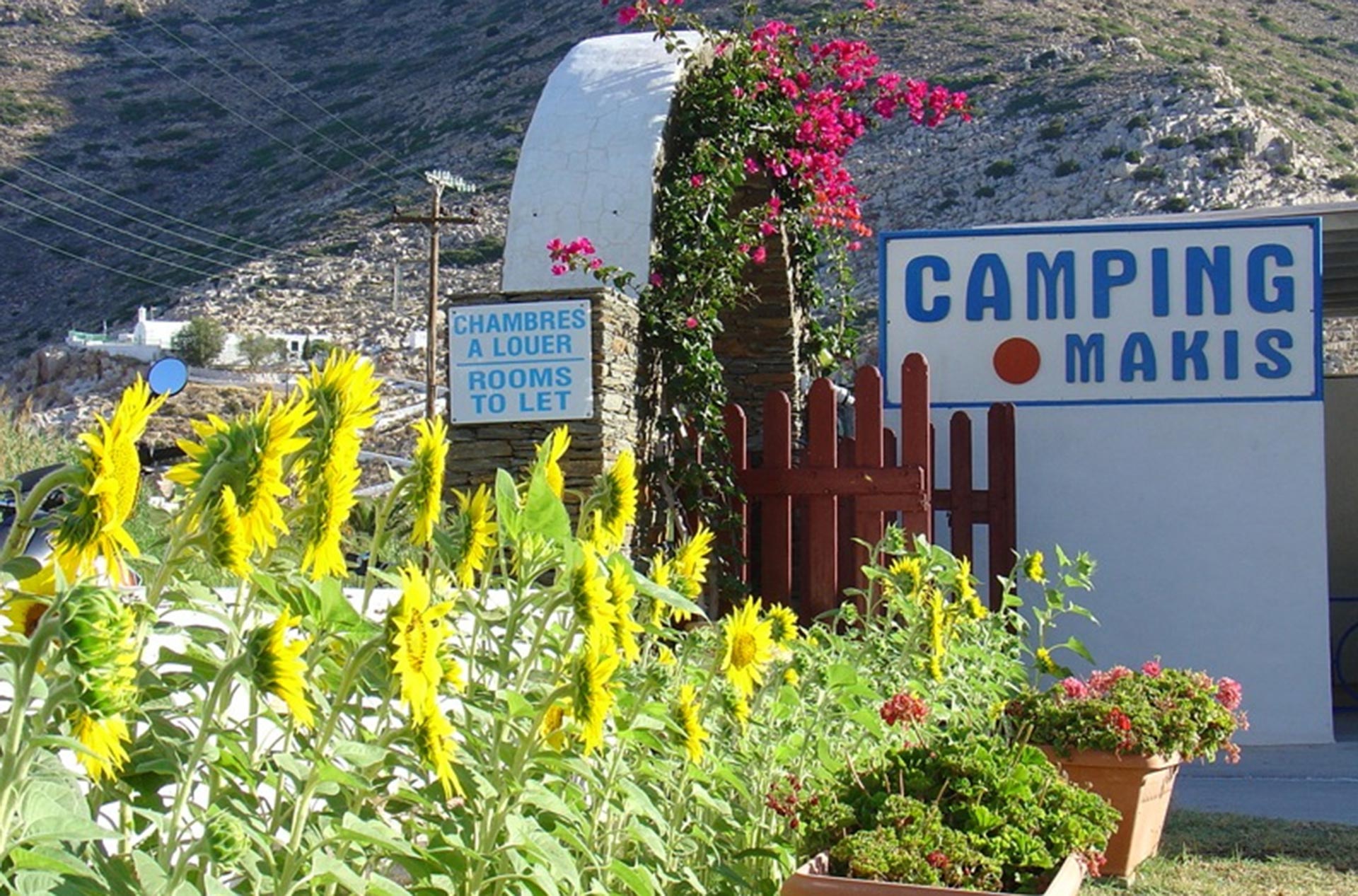 Organized camping at Kamares of Sifnos